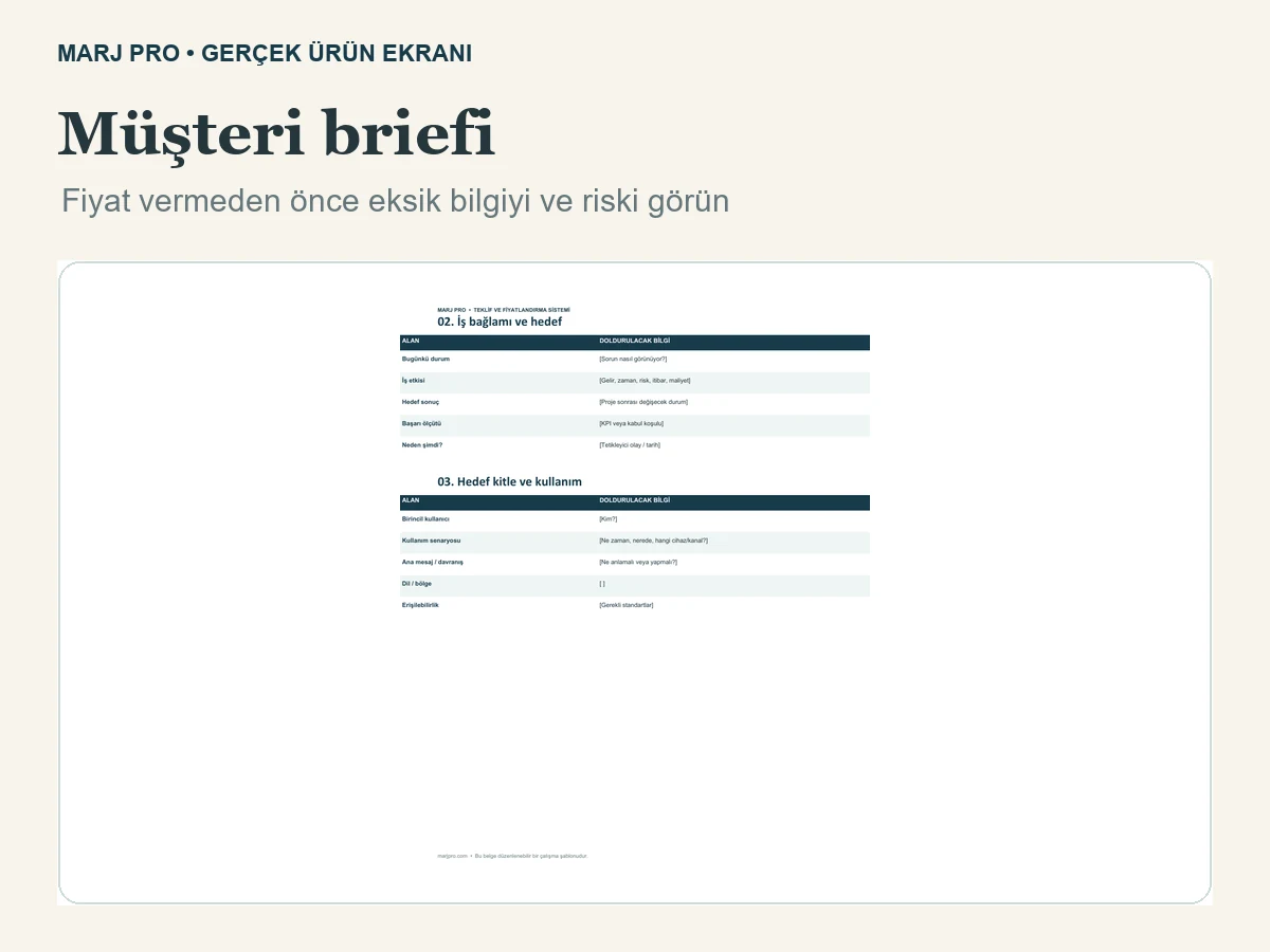 MARJ PRO müşteri briefi ve risk analizi